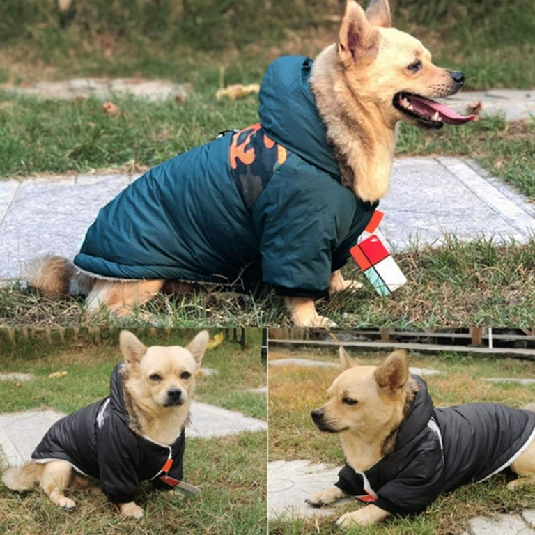 Fleece lined dog clearance hoodie