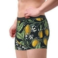 thumbnail image 4 of Fotbe Hand Drawn Citrus Fruits Elegant Lemons Men’s Total Support Pouch Boxer Briefs, X-Temp Cooling, Moisture-Wicking Underwear, Regular, Long-leg and Trunk-Small, 4 of 9