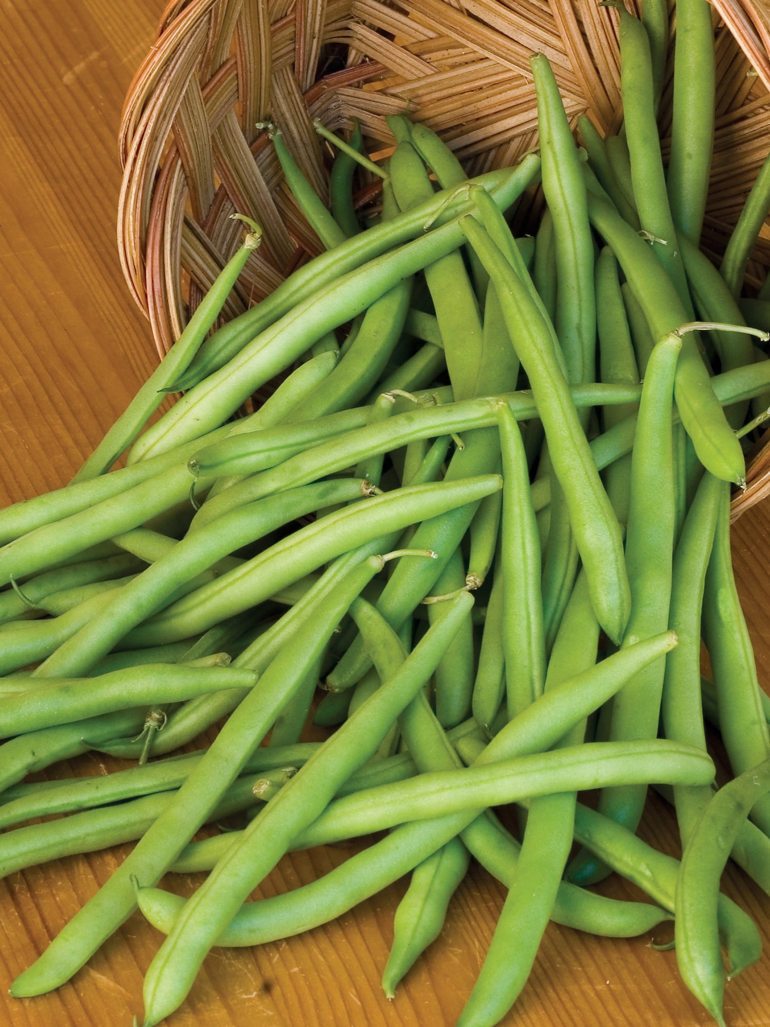Burpee Provider Garden Bean, Plant Seeds for Home Garden