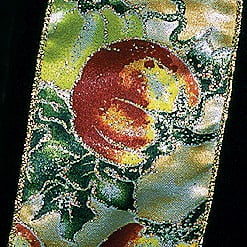 The Ribbon People Orange and Green Pumpkin Wired Craft Ribbon 3" x 20 Yards