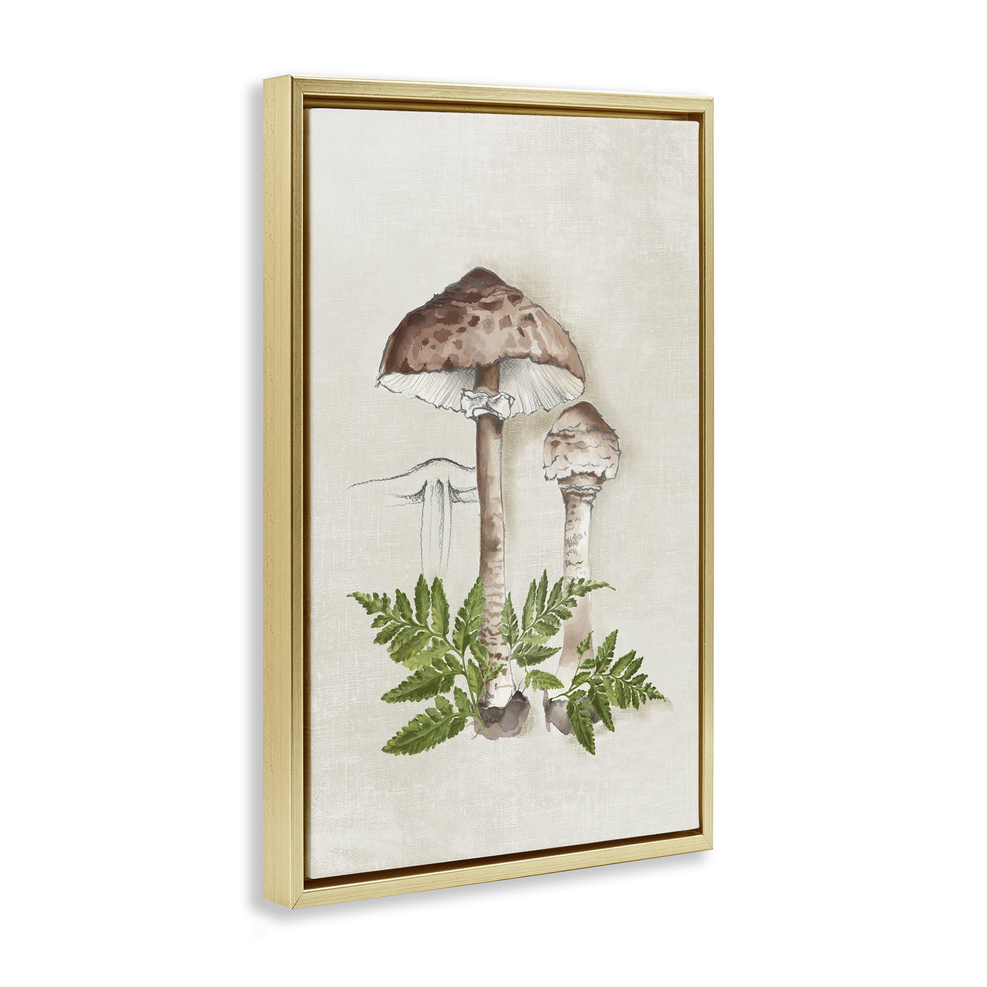 Stupell Industries Mushroom & Ferns Sketch Plants & Flowers Painting Gold Floater Framed Canvas Art Print Wall Art, 21 x 31