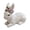 C, variant on Resin Easter Bunny Statue Garden Decoration – Hand-Painted Outdoor Rabbit Figurine for Yard, Patio & Indoor Holiday Decor, 8.5 Inch