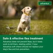 Advantus Chewable Flea Treatment for Dogs 4 - 22 lbs. 7 Soft Chews