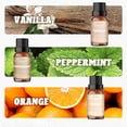 thumbnail image 4 of Aromatherapy Essential Oils Gift Set – 6 x 10ml Scents for Diffusers, Home Fragrance, Relaxation & DIY – Lavender, Peppermint, Orange, Vanilla, Eucalyptus, Lemongrass, 4 of 7