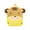 Yellow1, variant on ibiyuan School Backpacks Cute Embroidered Animal Cartoon Lightweight Durable Travel School Bag for Ages 3rd 4th 5th 6th, Primary School, Outdoor Trips