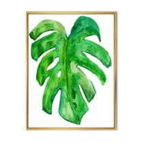 Designart 'Close Up Of Tropical Leaf Of Monstera I' Farmhouse Framed Canvas Wall Art Print