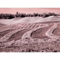 thumbnail image 2 of Eggers, Terry 14x12 Gold Ornate Wood Framed with Double Matting Museum Art Print Titled - USA-Washington State-Palouse region-Harvest cut lines in Field, 2 of 4