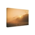 thumbnail image 2 of Philippe Sainte Laudy 'Evening Flight' Canvas Art, 2 of 3