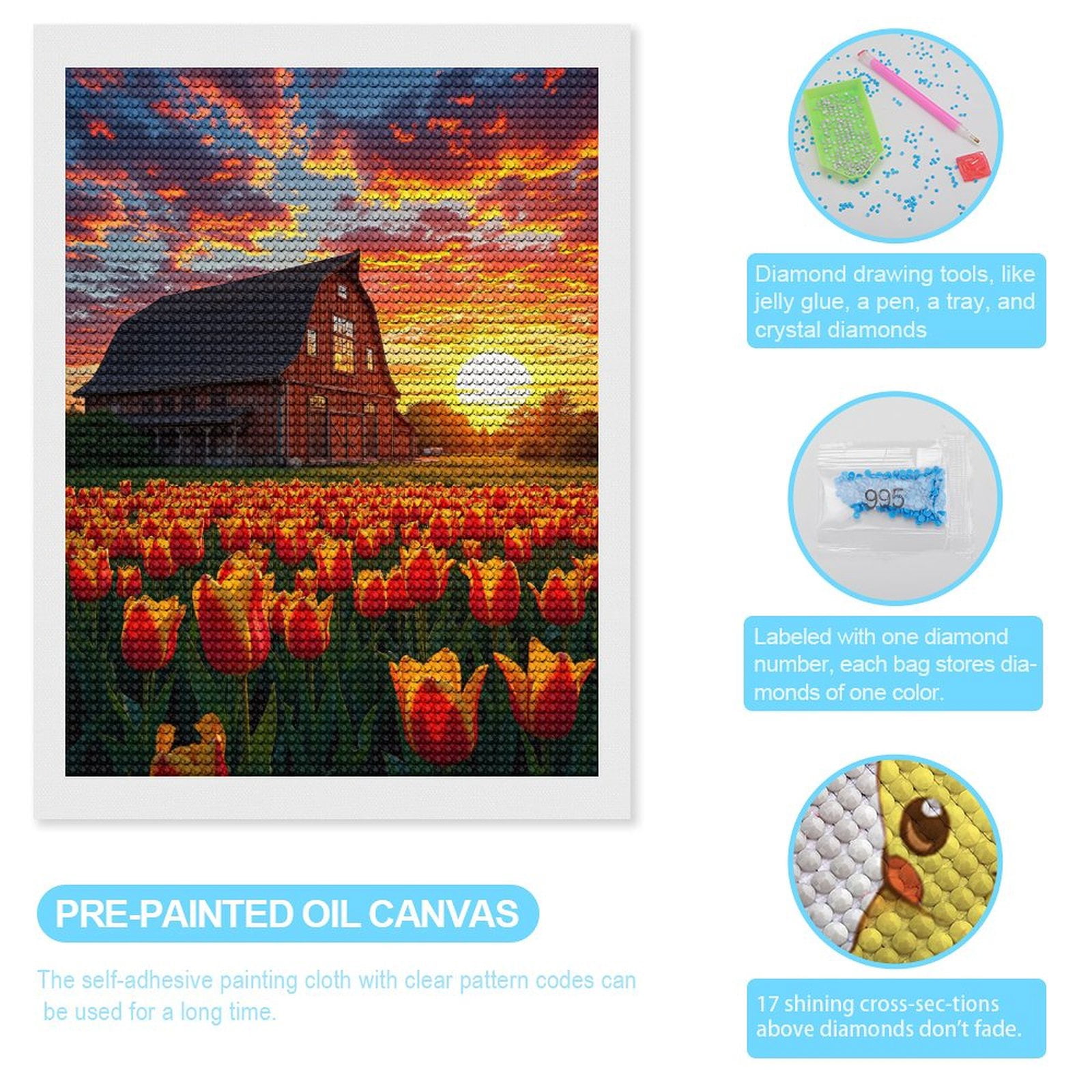 Diamond Art Kits for Adults, Sunset Tulips Barn Landscape 5D Diamond Painting Kits for Adults Beginners, DIY Full Drill Diamond Painting, Gem Art and Crafts 12x16