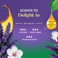 thumbnail image 5 of (6 pack) Air Wick Essential Mist Scented Oil Air Freshener Diffuser Refill, Lavender and Almond Blossom, 1 Count, 5 of 16