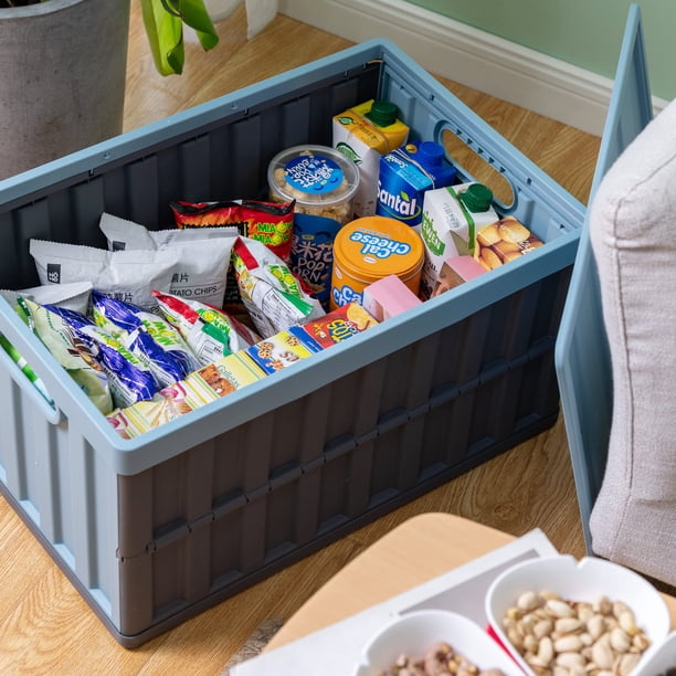 Citylife 64L Collapsible Storage Bins with Lids Plastic Storage