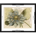 thumbnail image 5 of Art.com Blue Lotus Flower I Art Print, Black Frame Wall Art, 21" x 17", 5 of 5