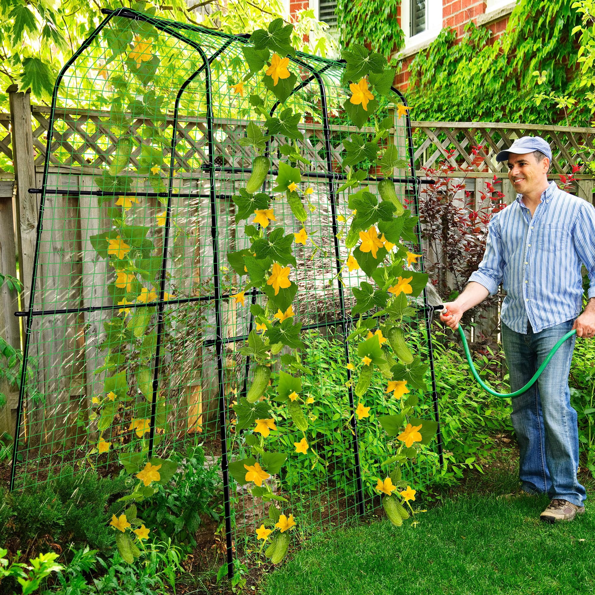 Ebaokuup 87 inch Metal Garden Arch Trellis with Climbing Net for Plants, Flowers and Vegetables