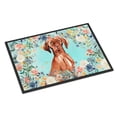 thumbnail image 1 of Carolines Treasures CK3424JMAT Tapis d'Intérieur Ou d'Extérieur 24 x 36 Po, 1 of 4