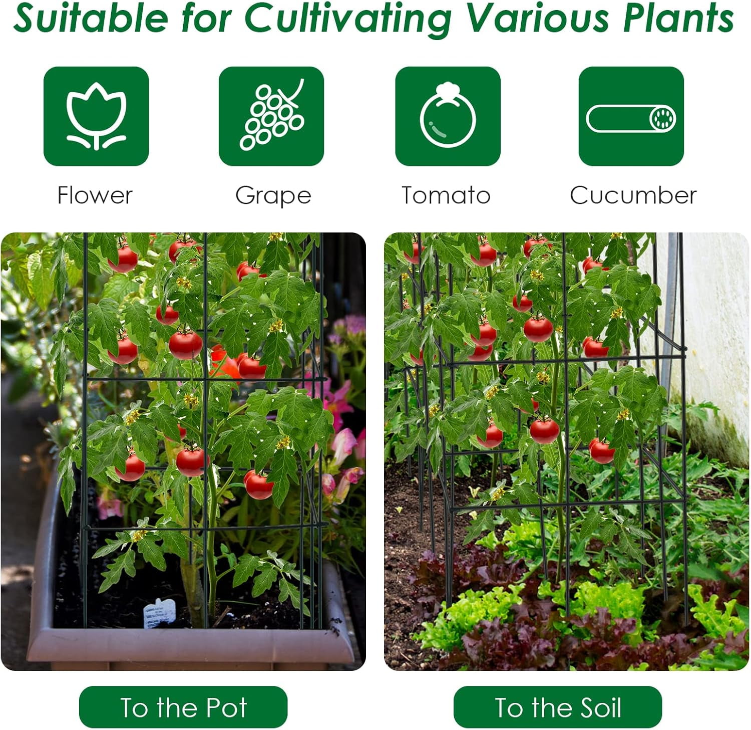 ZMSHOP 4 Pack Folding Tomato Cages, 39 Inches Tall Square Plant Support Cage for Garden Climbing Plants Flowers Fruits, Heavy Duty Tomato Vegetable Trellis