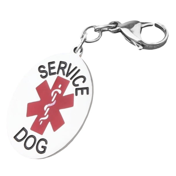 Llavero Etereauty con colgante de servicio para perros, etiqueta para chaleco, bolso, mochila, soporte de acero inoxidable para enfermera, soporte de plata para uso médico.