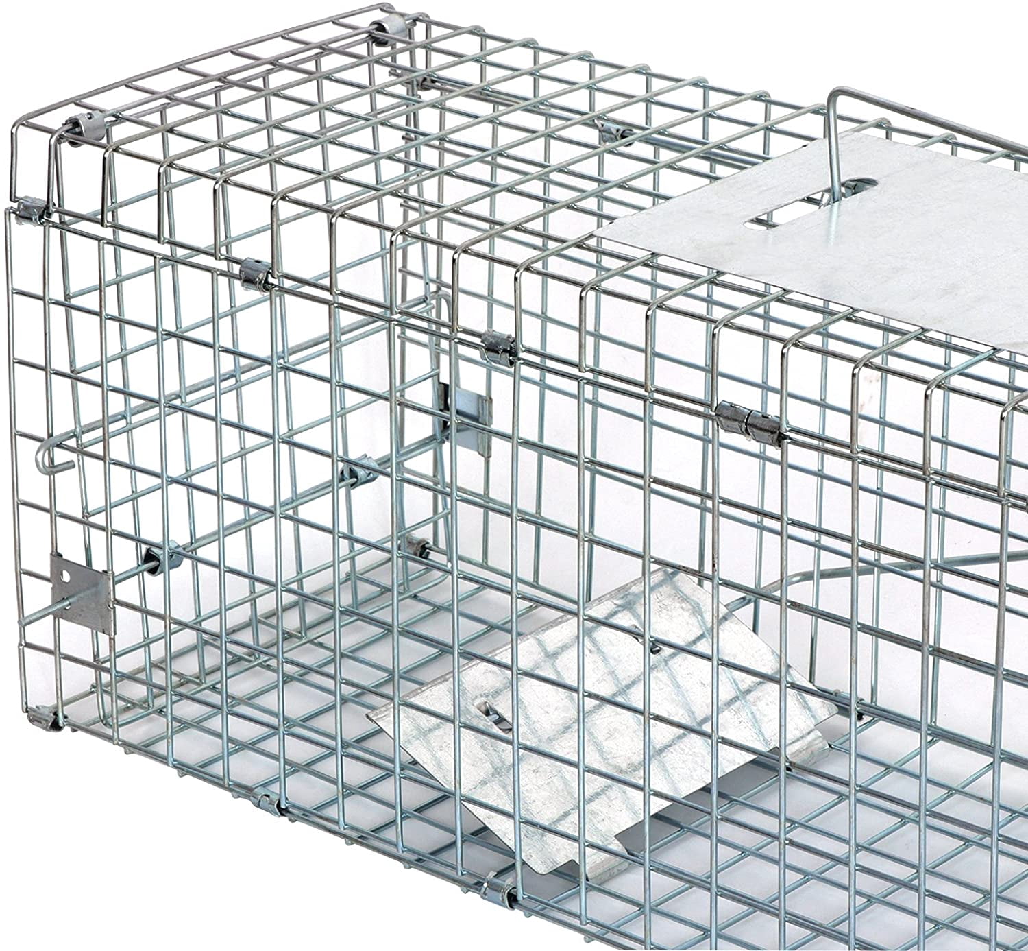 ANHXN Small Live Animal Trap Steel Cage Catch and Release One Door Humane Rodent Cage Trap for Little Rabbits/Stray Cats/Squirrel/Skunk/Mink/Opossum Outdoor Animals