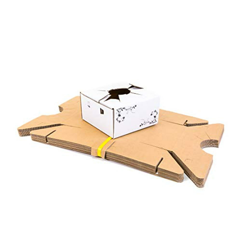 Cardboard Delivery Boxes l Flower Delivery Box l Vase Boxes Cardboard