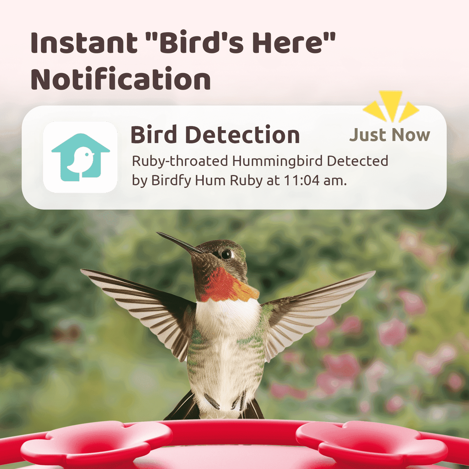 Birdfy Humming Bird Feeder with Camera, 1080P FHD Hummingbird Feeder Camera with Ant Moat, 9000 mAh rechargeable bird camera, AI Identify Bird Species, Leak Proof, Ideal Gift