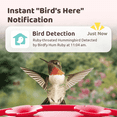 thumbnail image 2 of Birdfy Humming Bird Feeder with Camera, 1080P FHD Hummingbird Feeder Camera with Ant Moat, 9000 mAh rechargeable bird camera, AI Identify Bird Species, Leak Proof, Ideal Gift, 2 of 10