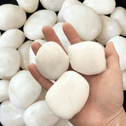 White River Rocks 40lbs - 1-2 Inch Natural Polished Pebbles for Landscaping, Indoor Plants, Aquariums & Vase Filler - Moisture-Retaining Decorative Stones