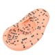 thumbnail image 2 of 1Pc Human Ear Acupuncture Medical Acupuncture Ear (Chocolate), 2 of 3