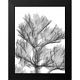 thumbnail image 2 of Koetsier, Albert 12x14 Black Modern Framed Museum Art Print Titled - Romaine Delight, 2 of 5