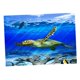 thumbnail image 5 of 3D Acuario Paisaje Póster  Vivarium Fondo Tortuga L Zulema Foto de fondo del tanque de peces, 5 of 8