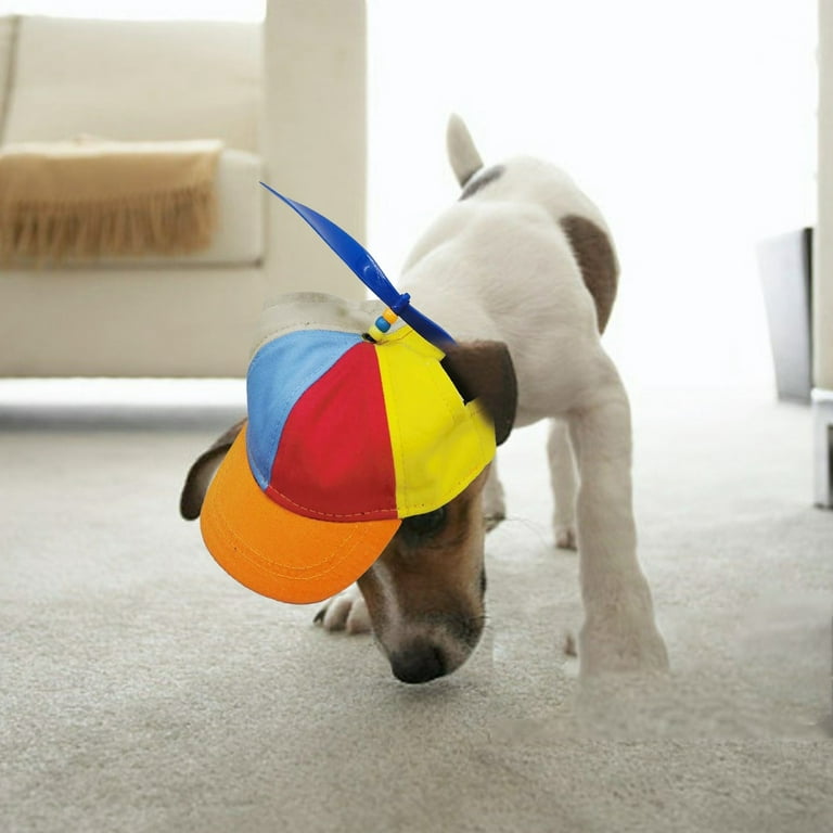 Dog french fry hat hotsell