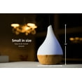 thumbnail image 3 of Canary Products FS640BB Canary Glass & Bamboo Aroma Diffuser, 3 of 12