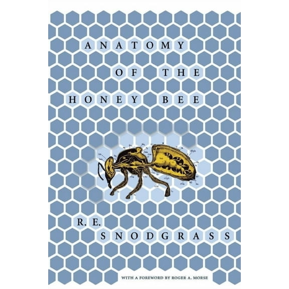 Anatomy of the Honey Bee, (Hardcover)