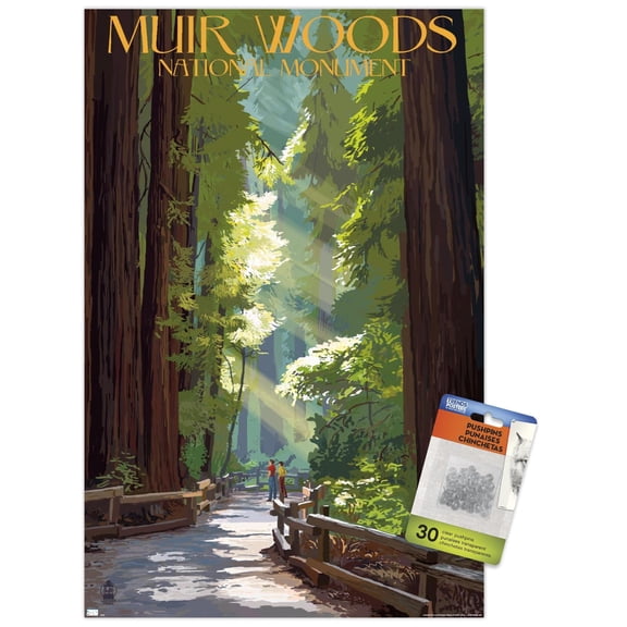 Lantern Press - Muir Woods National Monument, California, Pathway Wall Poster with Push Pins, 14.725" x 22.375"