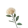 thumbnail image 2 of SPRING PARK 1Pc Artificial Fake Silk Flower Australian Native Protea Pincushion Flower, 2 of 7