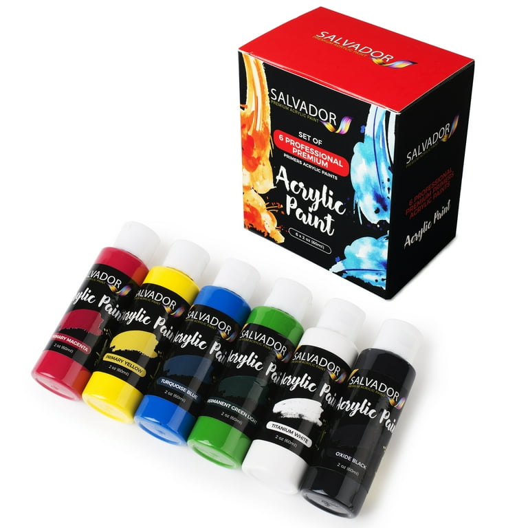Salvador Acrylic Paint Set - 6 Extra Large 2oz (60ml) White, Black and  Primary Colors, Artist Paint Kit ? Professional Painting Set Arts and  Crafts Supplies for Adults and Kids 
