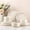 Modern-Beige, variant on Ceramic Dinnerware Set for  | Speckled Stoneware Plates and Bowls with unglazed terracotta | Scratch Resistant, Dishwasher & Microwave Safe Modern Dishes Sets