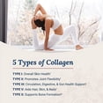 thumbnail image 3 of Live Conscious Beyond Collagen Cápsulas de colágeno múltiple - Tipos I, II, III, V y X | Mezcla hidrolizada con biotina y vitamina C para cabello, piel y uñas 90 cápsulas (paquete de 2), 3 of 5