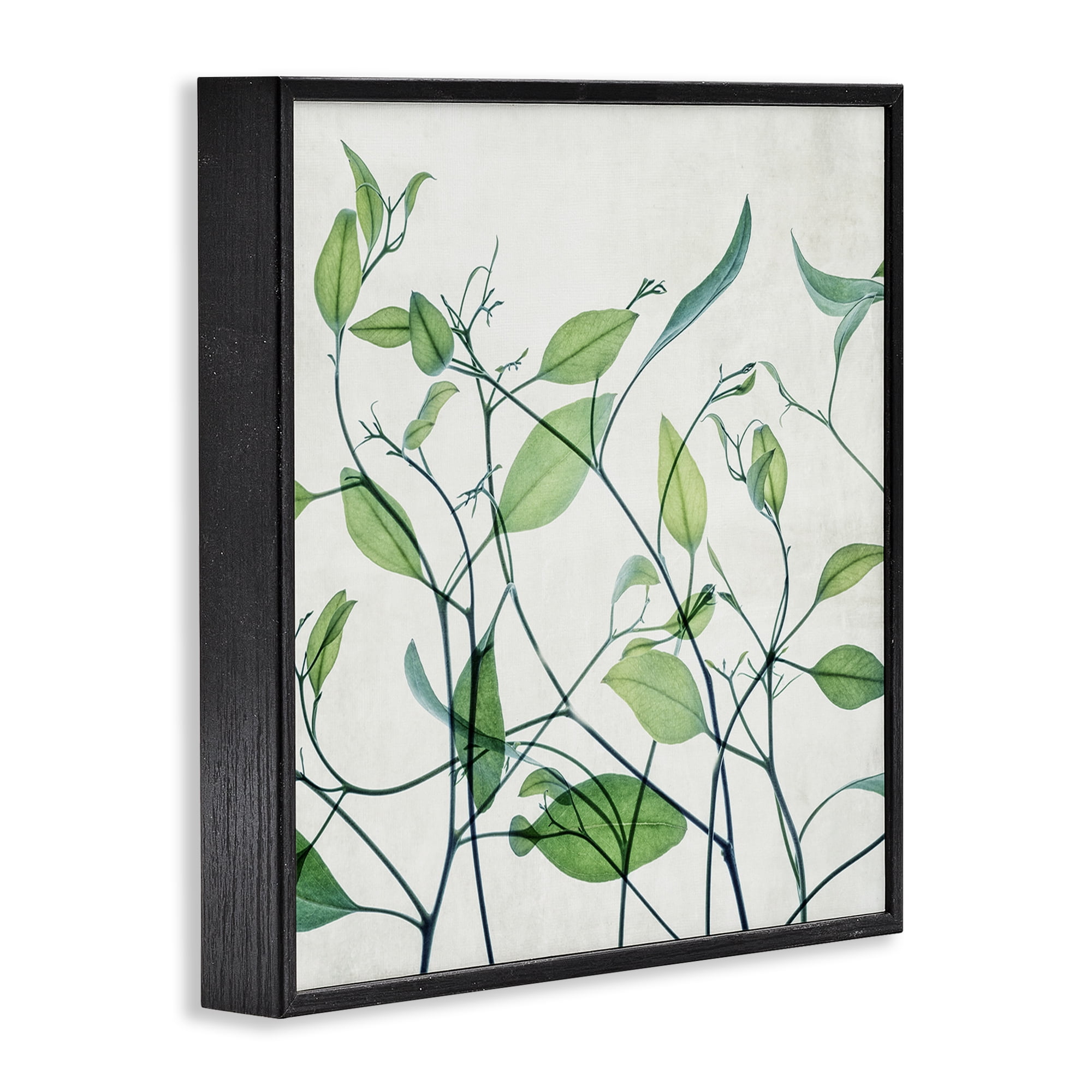Stupell Industries Modern Vine Pattern Botanical & Floral Painting Black Framed Art Print Wall Art, 24 x 24