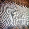 thumbnail image 3 of Hausenflock, Alan 20x20 Black Modern Framed Museum Art Print Titled - Wind Sand and Water II, 3 of 5