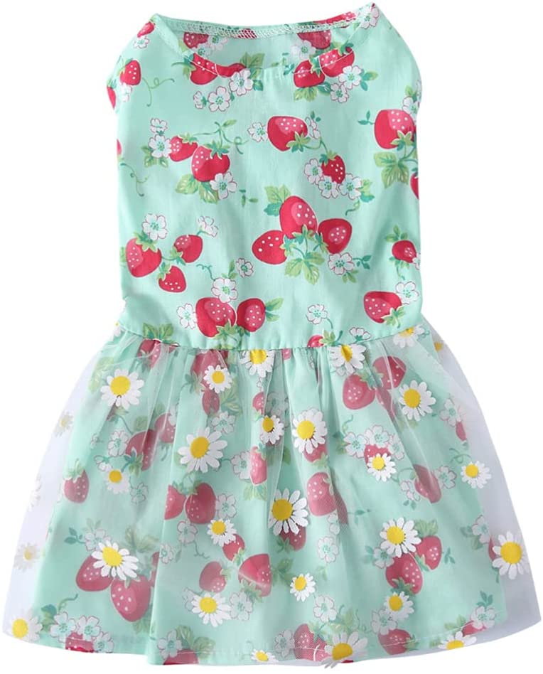i feel pretty dog dress