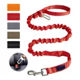 thumbnail image 1 of Correa Táctica Con Hebilla De Seguridad Para Perro, 1 of 7