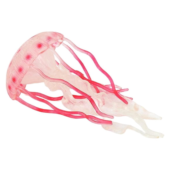 El modelo plástico de s medusas los juguetes educativos de Rosado Zulema Medusa simulada
