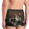thumbnail image 5 of Bingfone Cat Family Men'S Underwear - Casual Stretch Boxer Briefs-Large, 5 of 9