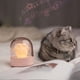 thumbnail image 3 of Lámpara de  gato garra con música regulable USB estudio guardería Rosa Gloria Luz de noche de dormitorio, 3 of 9
