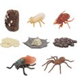 thumbnail image 1 of 2 Ensembles de Modèles de Cercle de Croissance d'Insectes d'Imitation pour la Cognition des Enfants, 1 of 8