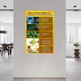 thumbnail image 2 of Pollen Chart Knowledge Poster (2) Canvas Painting Wall Art Poster for Bedroom Living Room Decor, 2 of 4