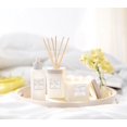 CLEAN RESERVE Home Liquid Reed Diffuser Natural Rattan Reeds in