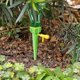 thumbnail image 3 of 12pcs Plant Er Ing Slow Se Plants Ing System, 3 of 4