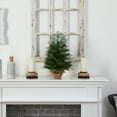 thumbnail image 7 of Nearly Natural 2ft. Artificial Christmas Tree in Burlap Base with 35 Warm White LED Lights, 7 of 7
