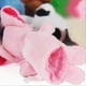 thumbnail image 4 of 10Pcs Finger Puppets Plush Animal Hand Puppets Set Cute Finger Stuffed Toy Dolls Story Time Props for Kids, 4 of 4