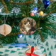thumbnail image 5 of Funny Christmas Ornament,Realistic - Looking Kitten In Rose Garden,Xmas Round Ceramic Pendant, 5 of 6